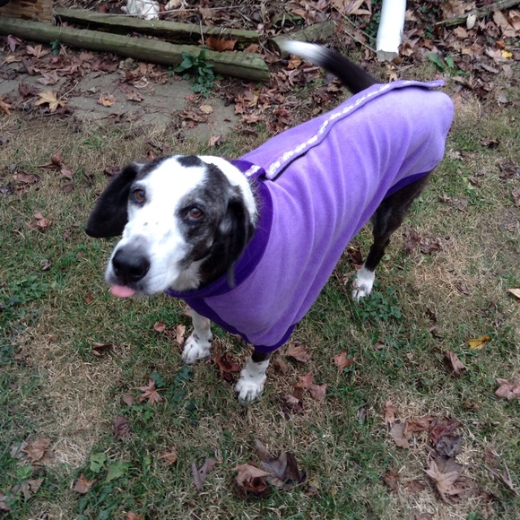 Meet TubbySunrise - Picture 5 of 7